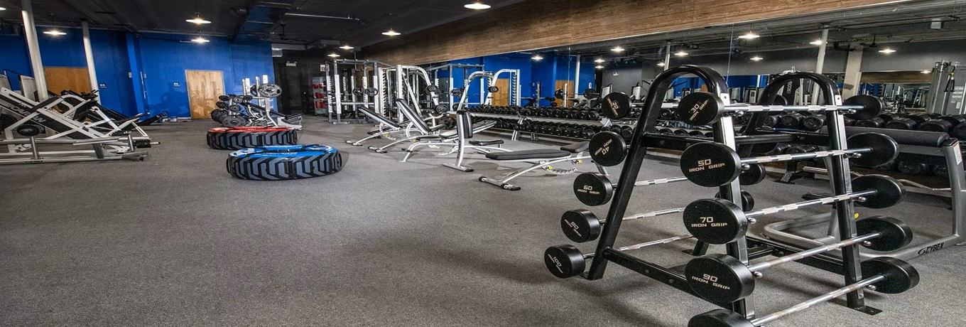 Gyms and Fitness Clubs